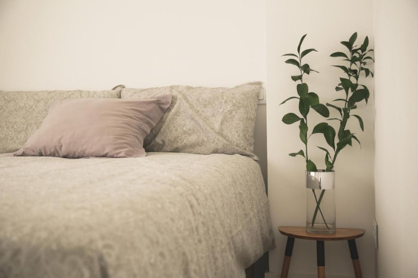 Romantico Apartamento En El Centro Santander Luaran gambar